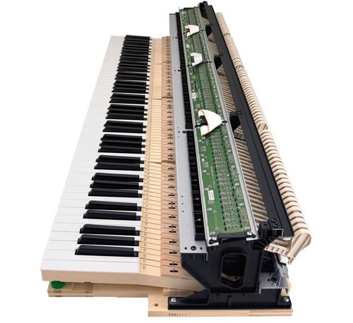 NATURAL GRAND HAMMER